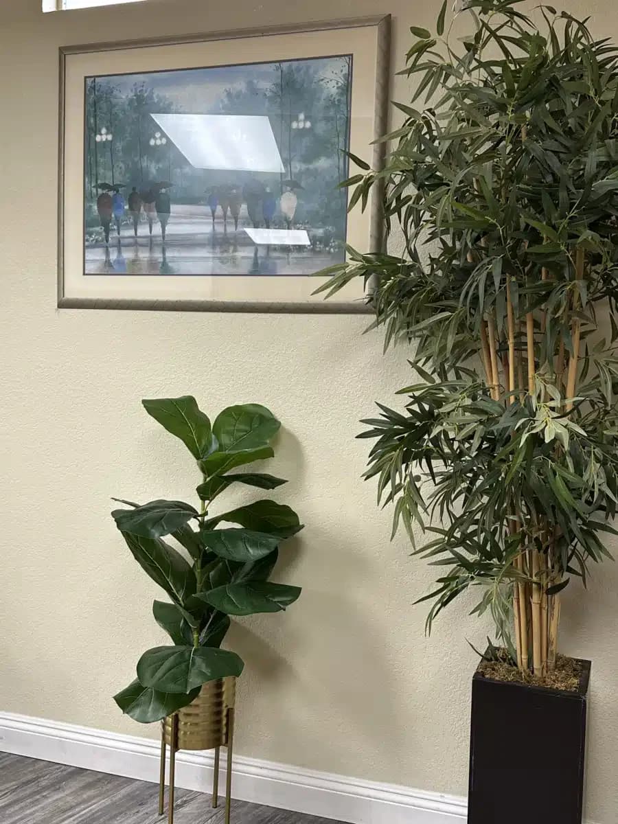 Compatior Inc - Thumbnail 8