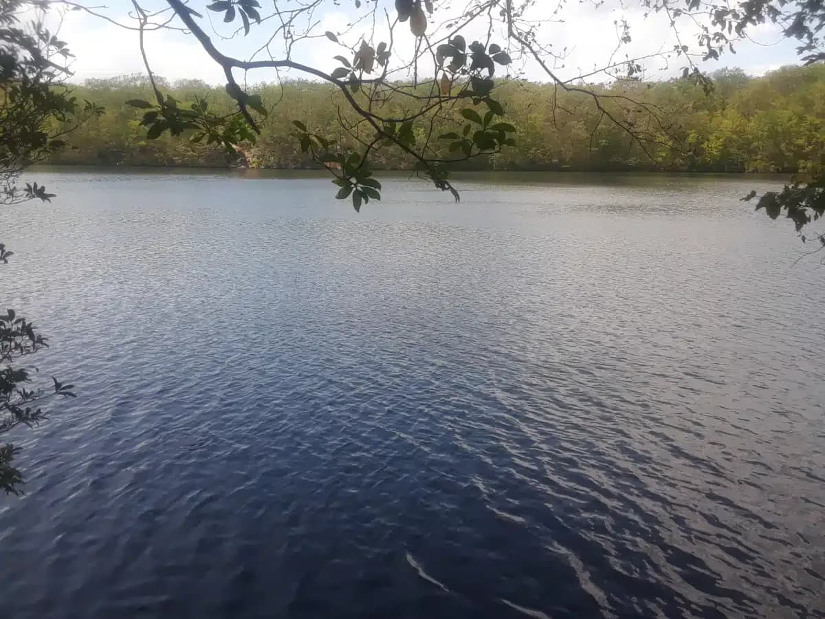 Connecticut Valley Hospital