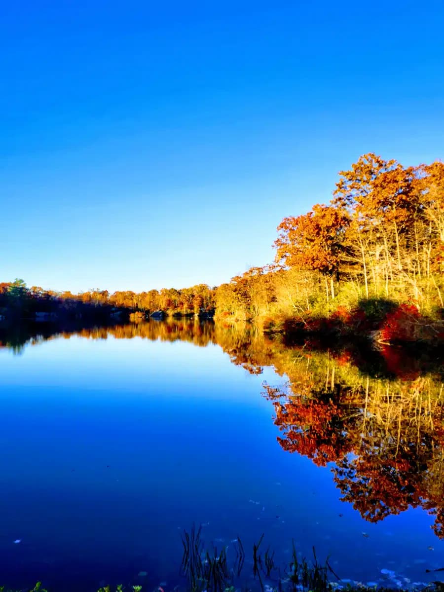 Connecticut Valley Hospital - Thumbnail 5