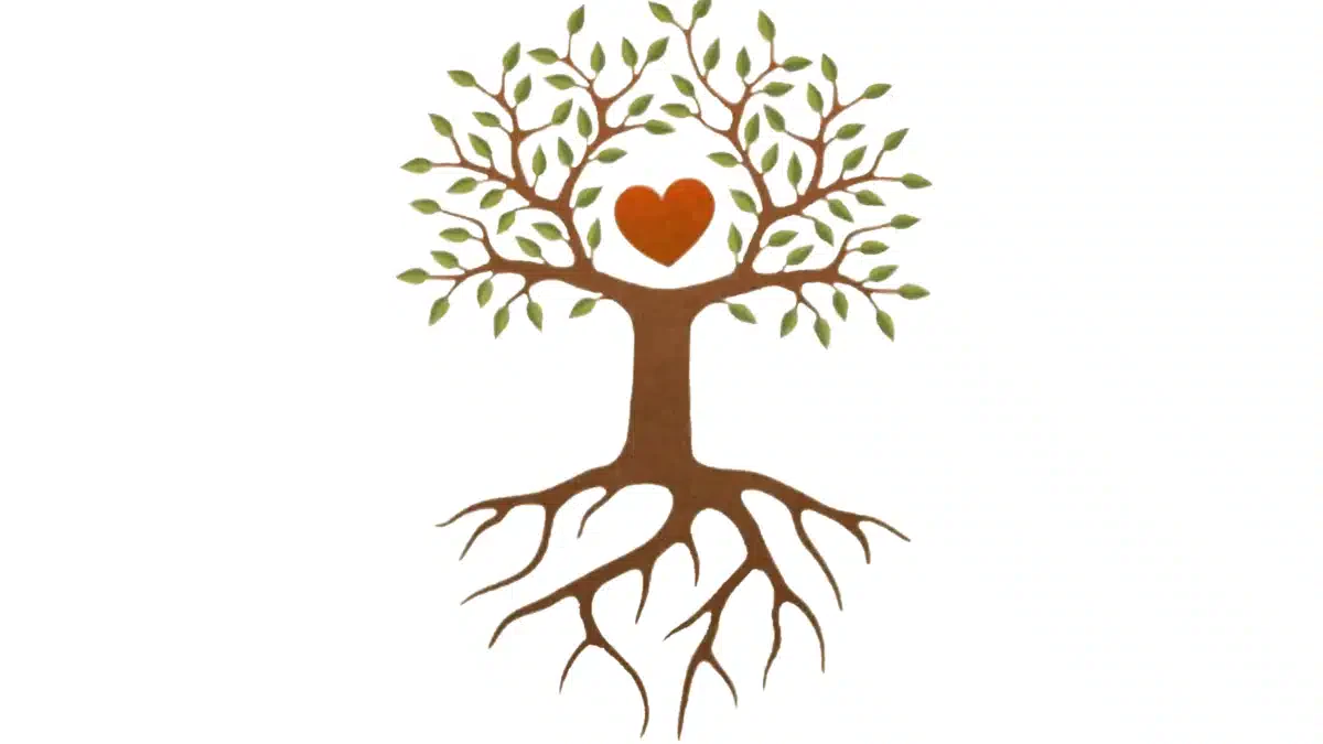 Coshocton Cnty Drug/Alc Council Inc - Thumbnail 2