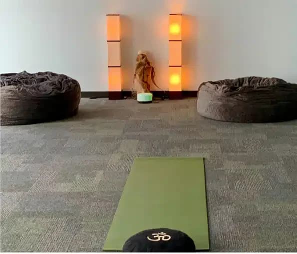 Council on Recovery - Thumbnail 4