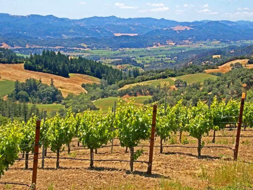 County of Sonoma - Thumbnail 3