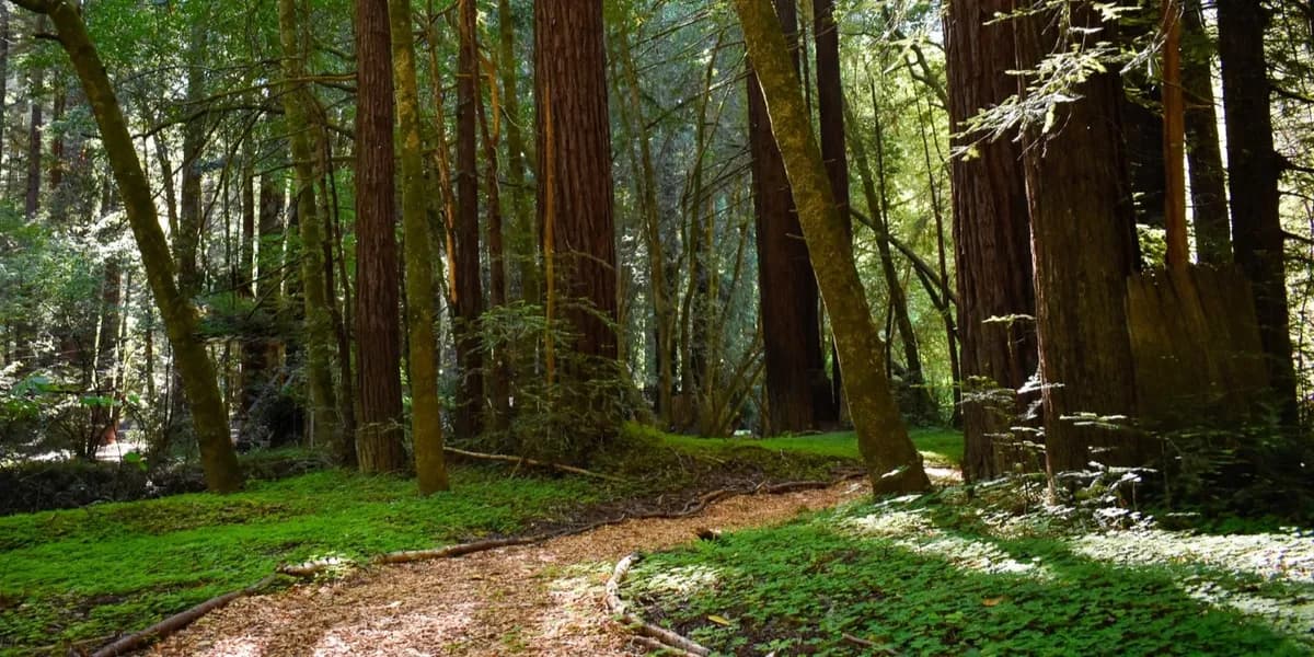 County of Sonoma - Thumbnail 2