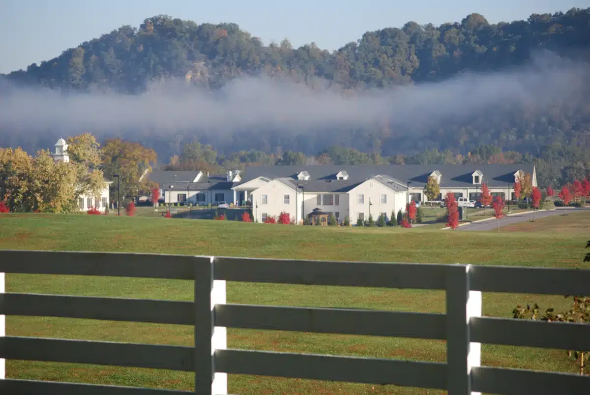 Cumberland Heights - Thumbnail 8