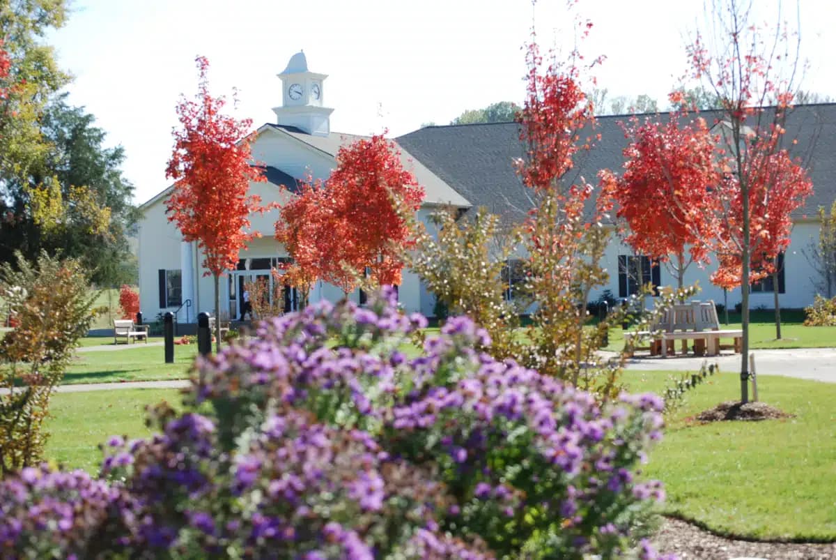 Cumberland Heights - Thumbnail 9