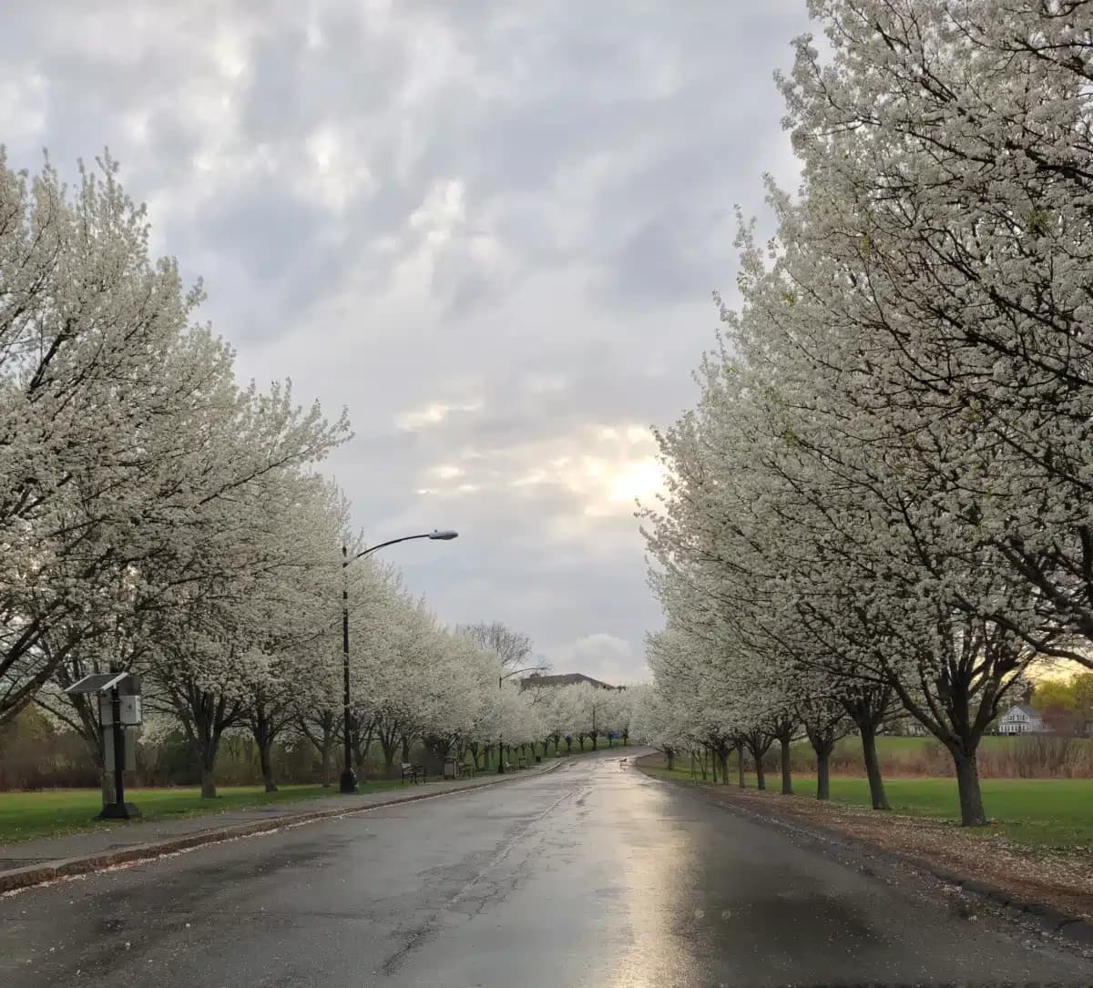 Danvers Trt Center - Thumbnail 2