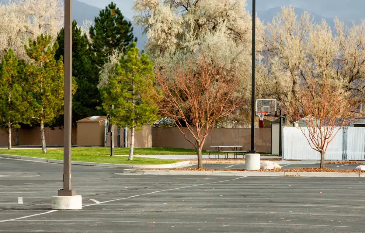 Davis Behavioral Health Inc - Thumbnail 6