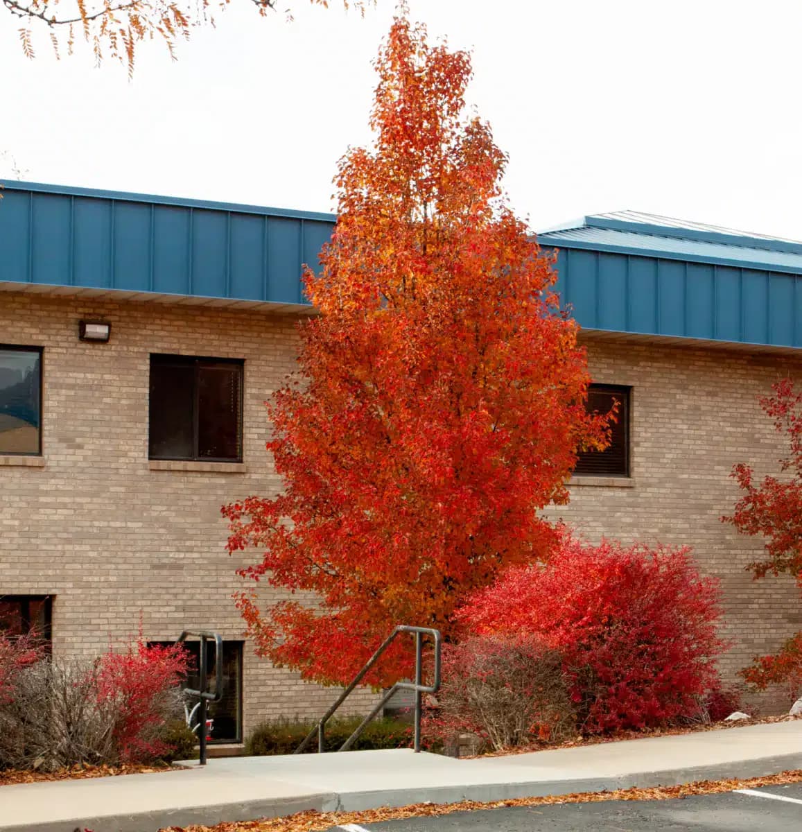 Davis Behavioral Health Inc - Thumbnail 9