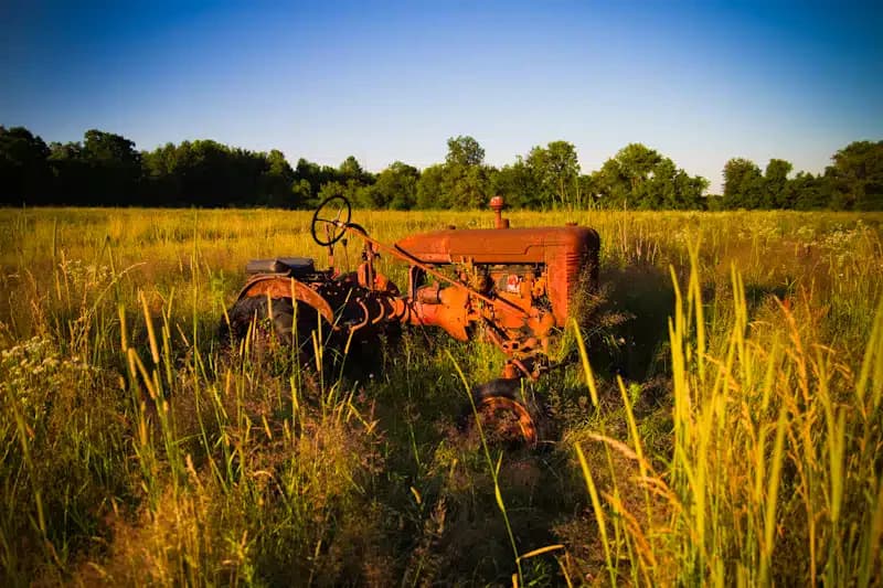 Dawn Inc - Thumbnail 10