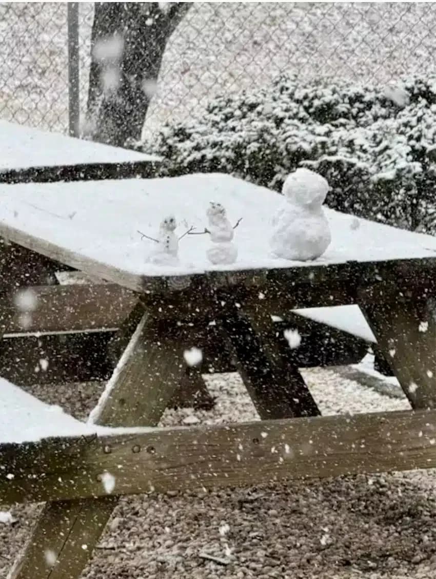 Daymark Recovery Services Inc - Thumbnail 7