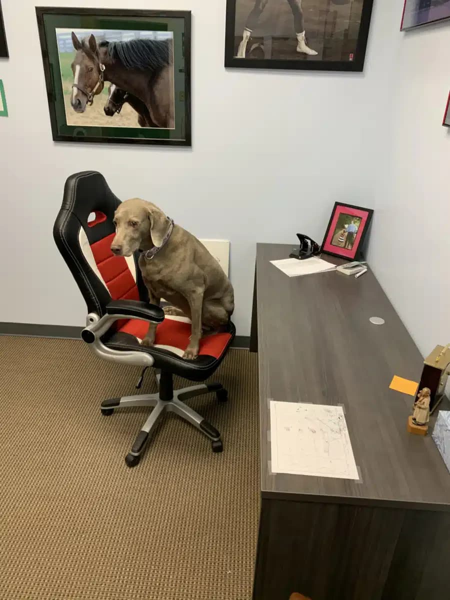 DeNova - Thumbnail 2