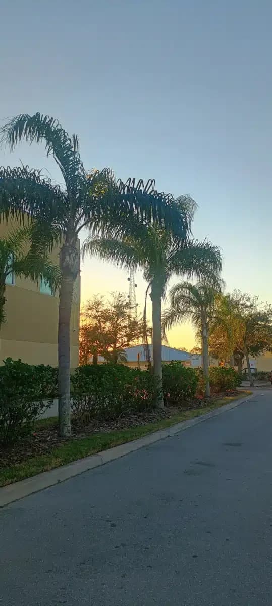 DeSoto Psychiatric Services - Thumbnail 4