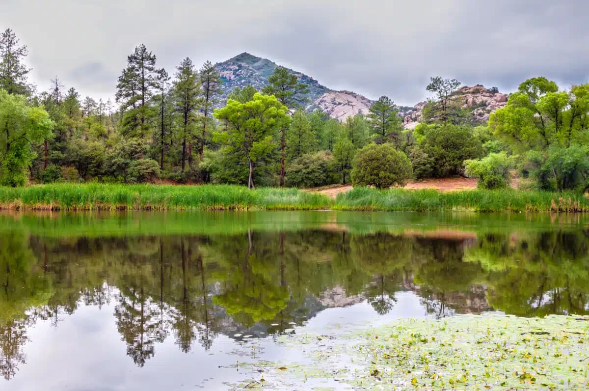 Decision Point LLC - Thumbnail 10