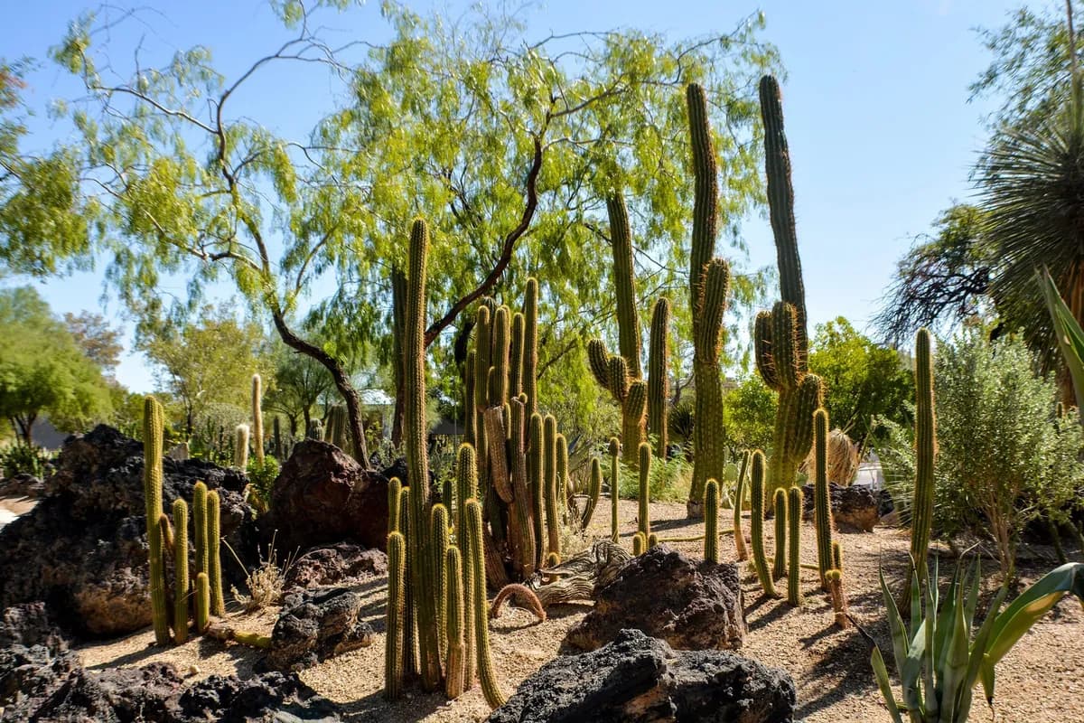 Desert Treatment Clinic LLC - Thumbnail 3