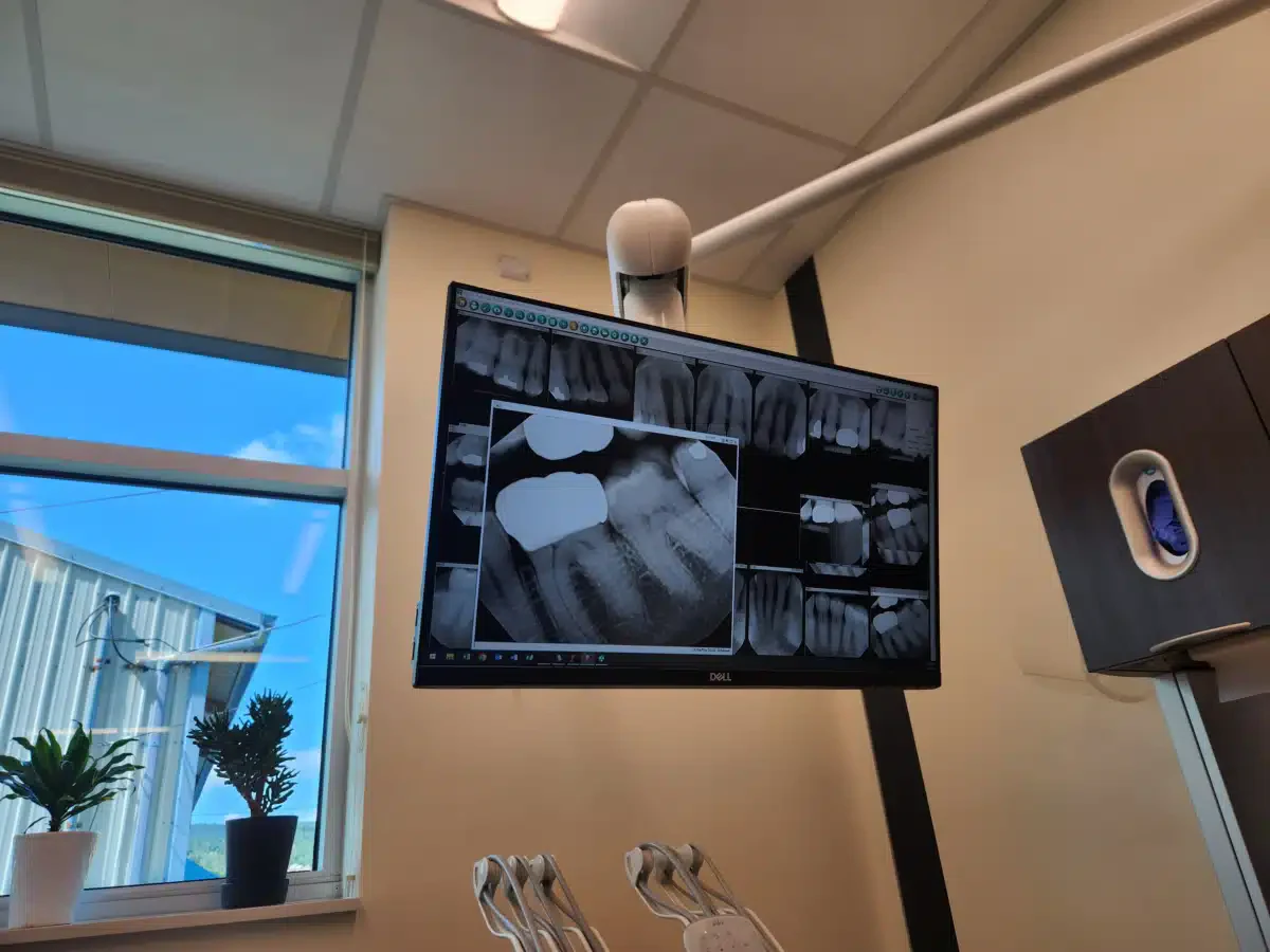 Didgwalic Wellness Center - Thumbnail 2