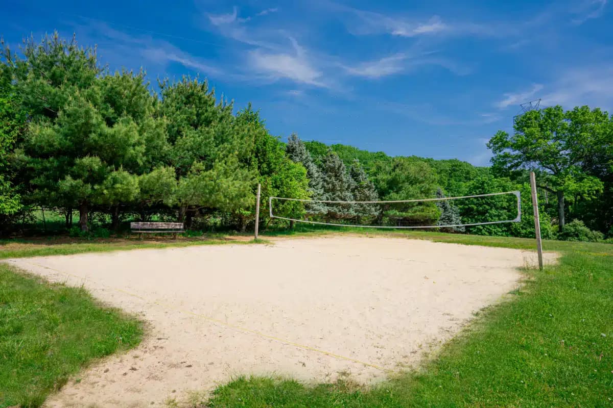 Discovery Institute for - Thumbnail 9