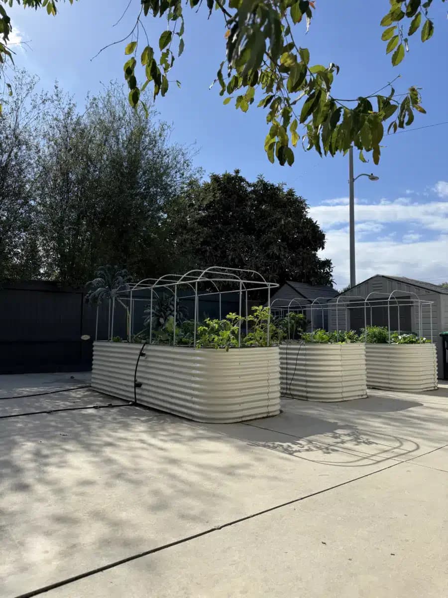 Divine Bliss - Thumbnail 8