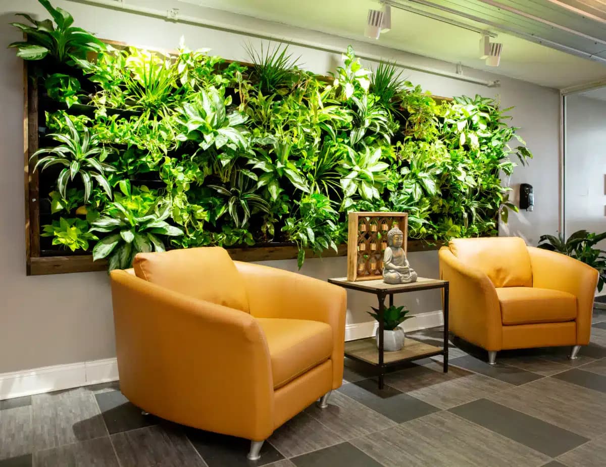 DreamLife Recovery LLC