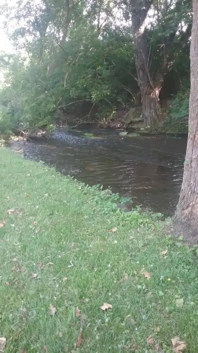 Eastridge Health Systems - Thumbnail 3