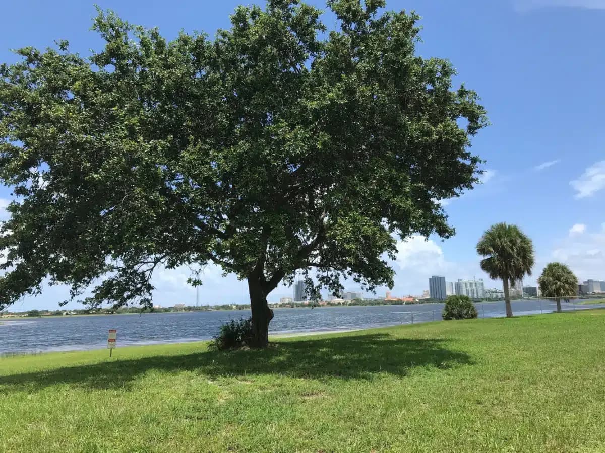 Ebb Tide Treatment LLC - Thumbnail 7