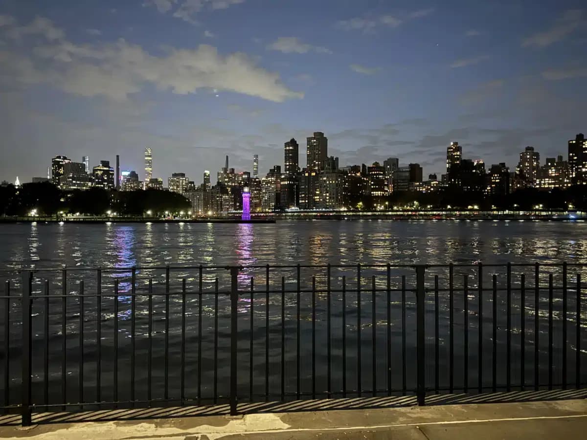 Elmhurst Hospital Center - Thumbnail 8