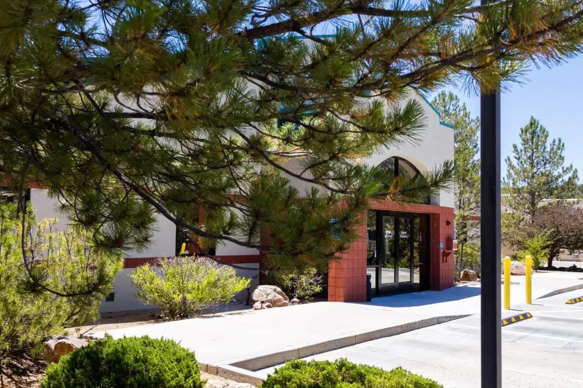 Embark Recovery - Thumbnail 5