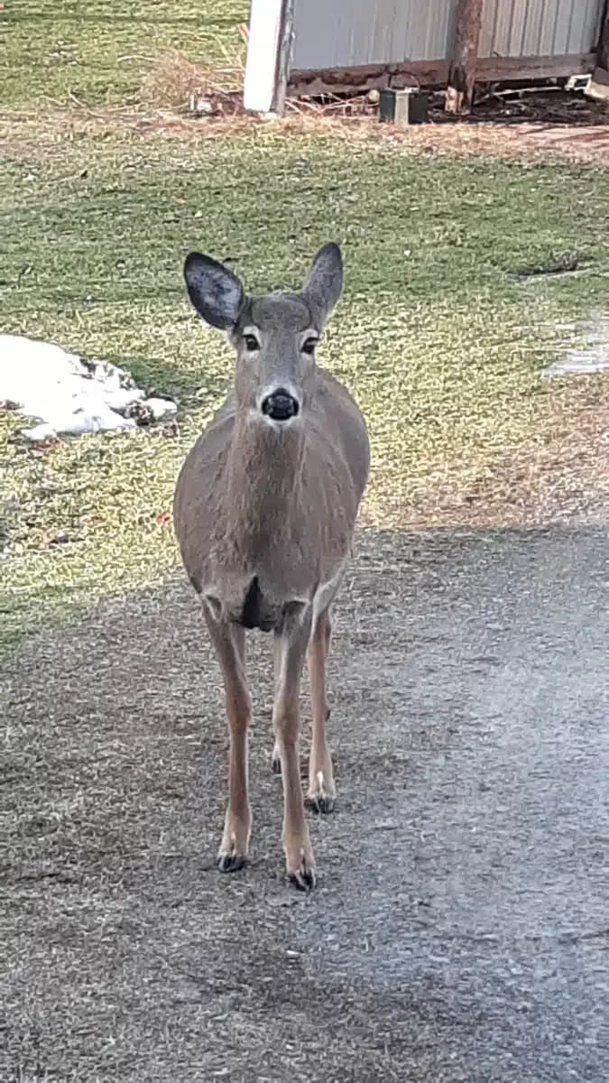 Endless Mountains Extended Care LLC - Thumbnail 10