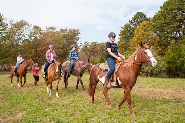 Enlightened Solutions LLC - Thumbnail 5