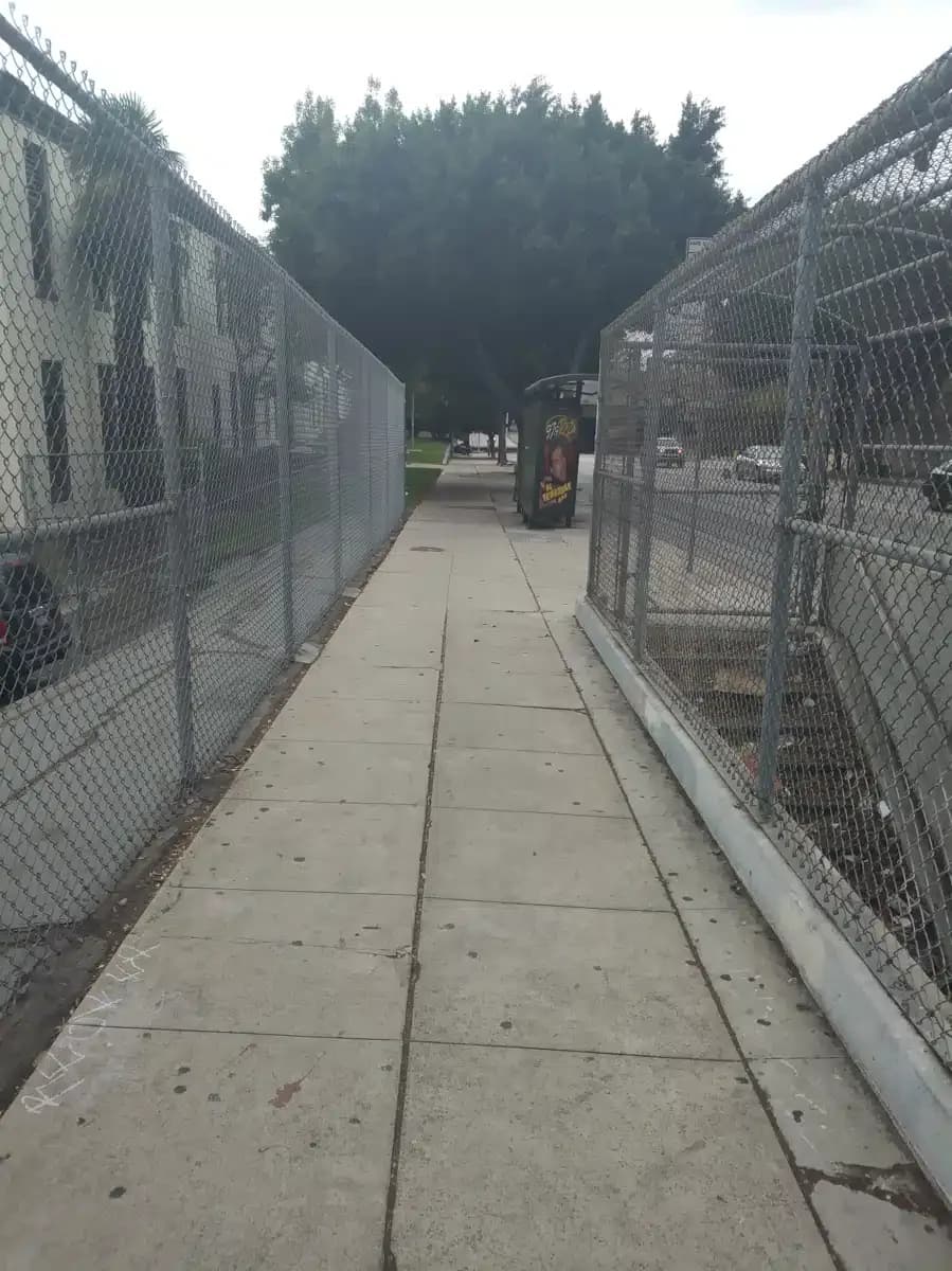 Escuela Latina - Thumbnail 5