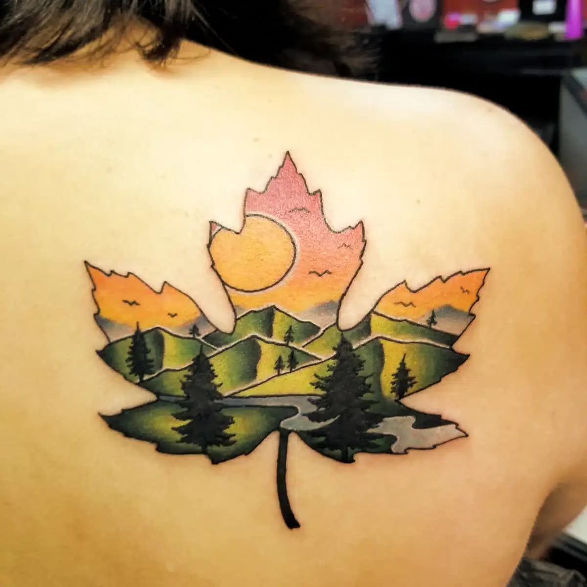 Euphoria Enterprises Inc - Thumbnail 4