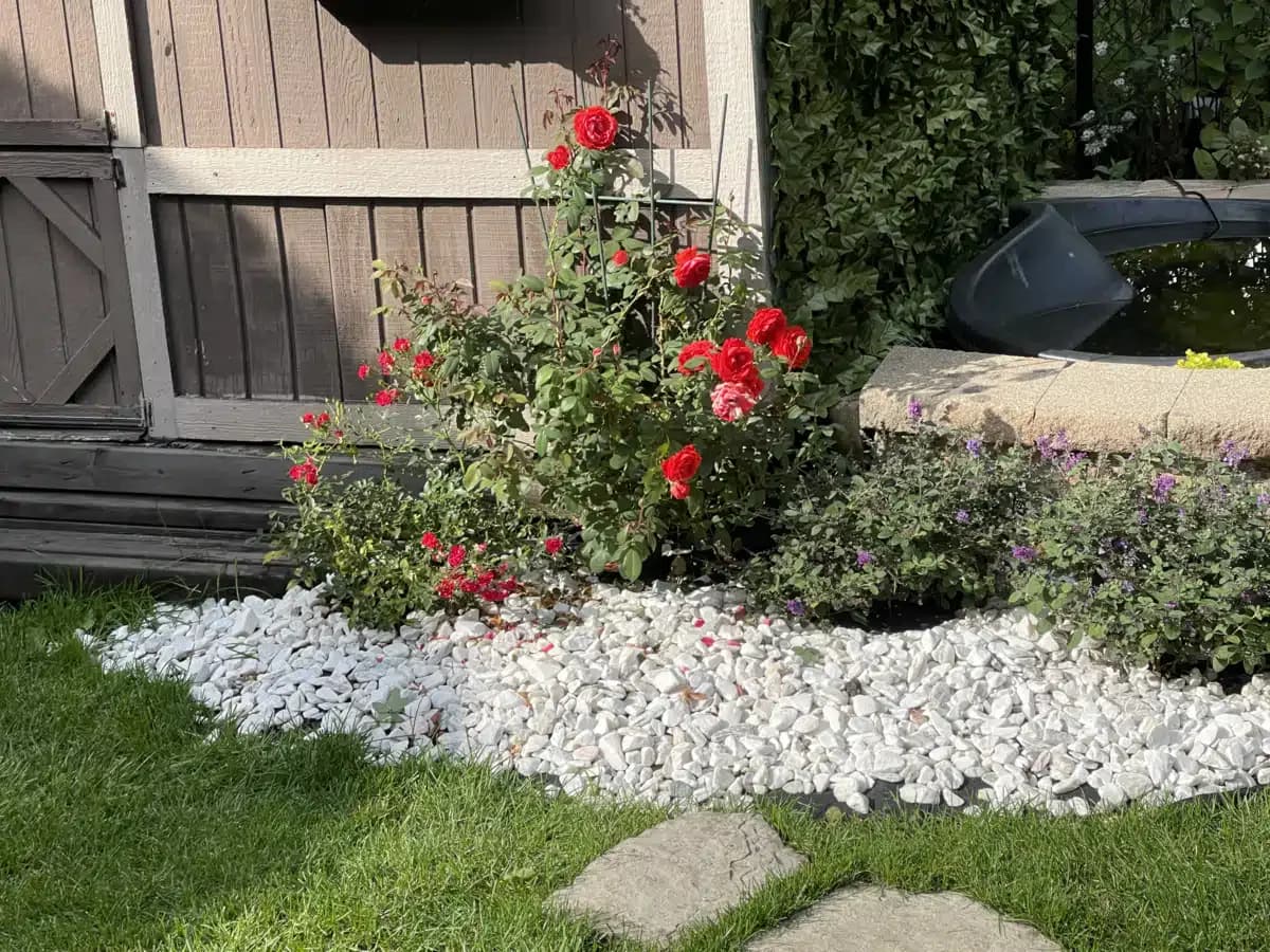 Evoke Wellness LLC - Thumbnail 9