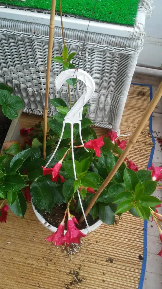 Family Services and Childrens