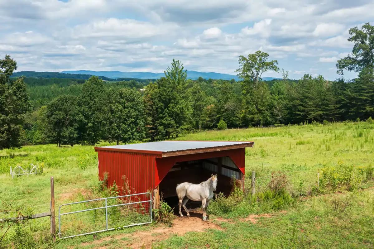 Foothills at Red Oak Recovery - Thumbnail 3