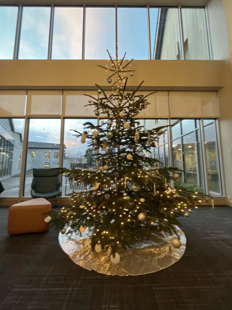 Fora Health - Thumbnail 2