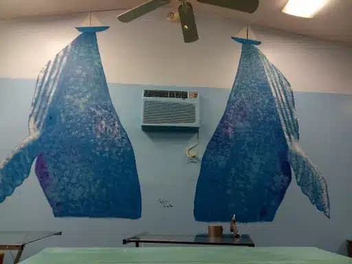 Frankies Place Csl and Prev Services - Thumbnail 3