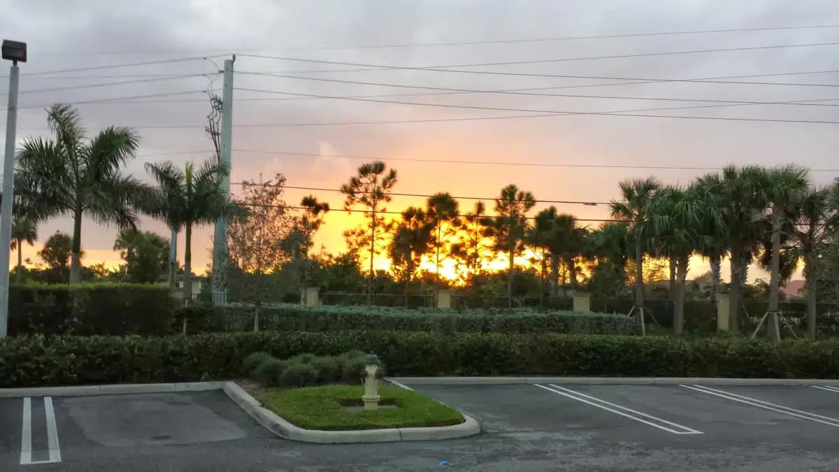 Futures of Palm Beach - Thumbnail 6