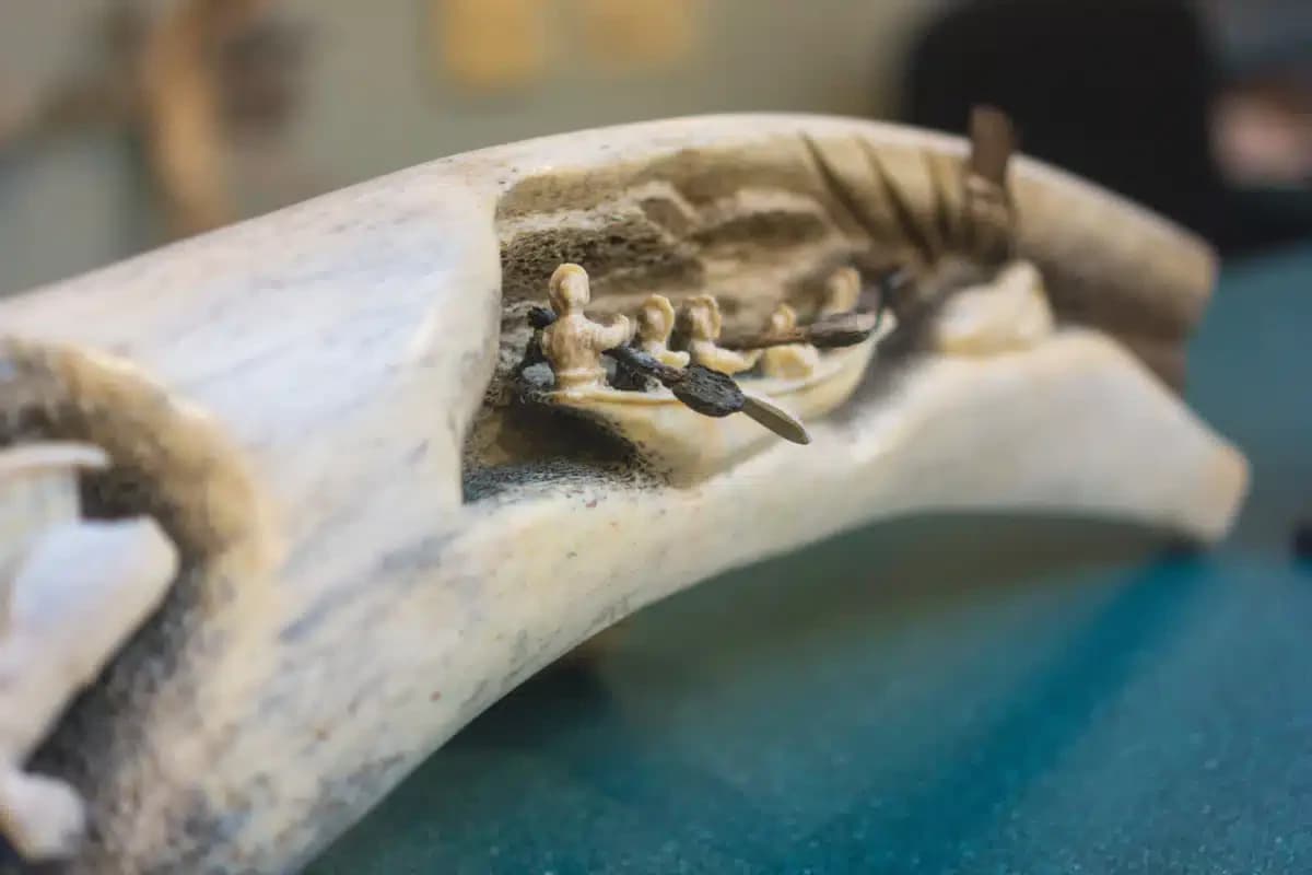 Gathering Place - Thumbnail 7