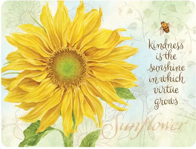 Gratitude Adjustment - Thumbnail 3