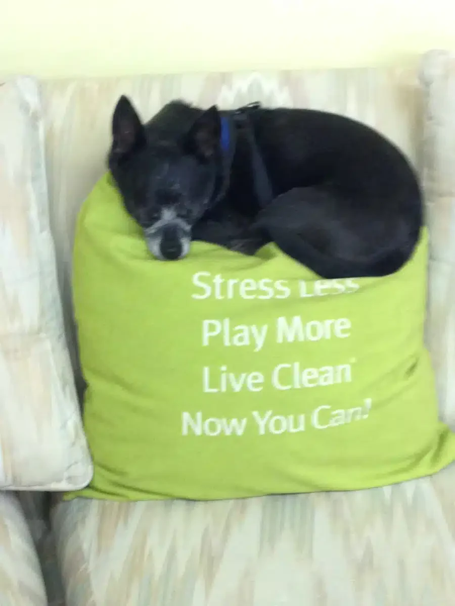 Green Ctr of Growth and Development - Thumbnail 4