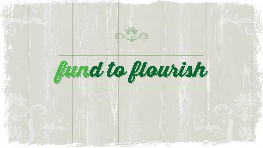 Greenleaf Family Center - Thumbnail 4