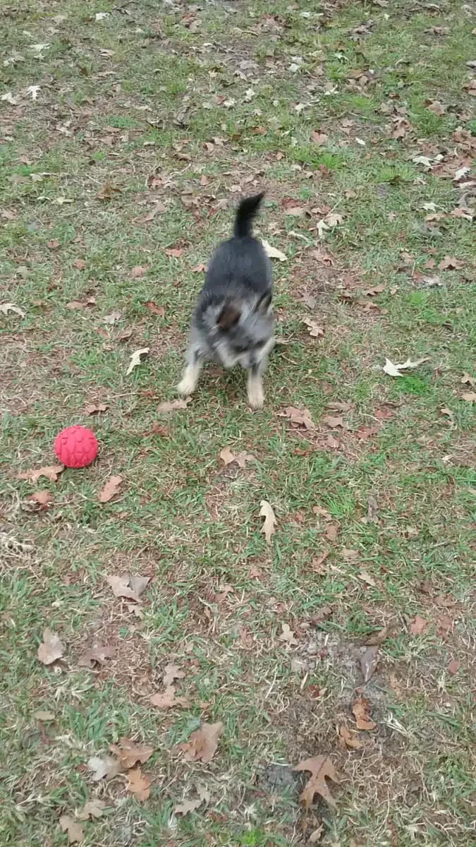 Groundswell LLC - Thumbnail 2