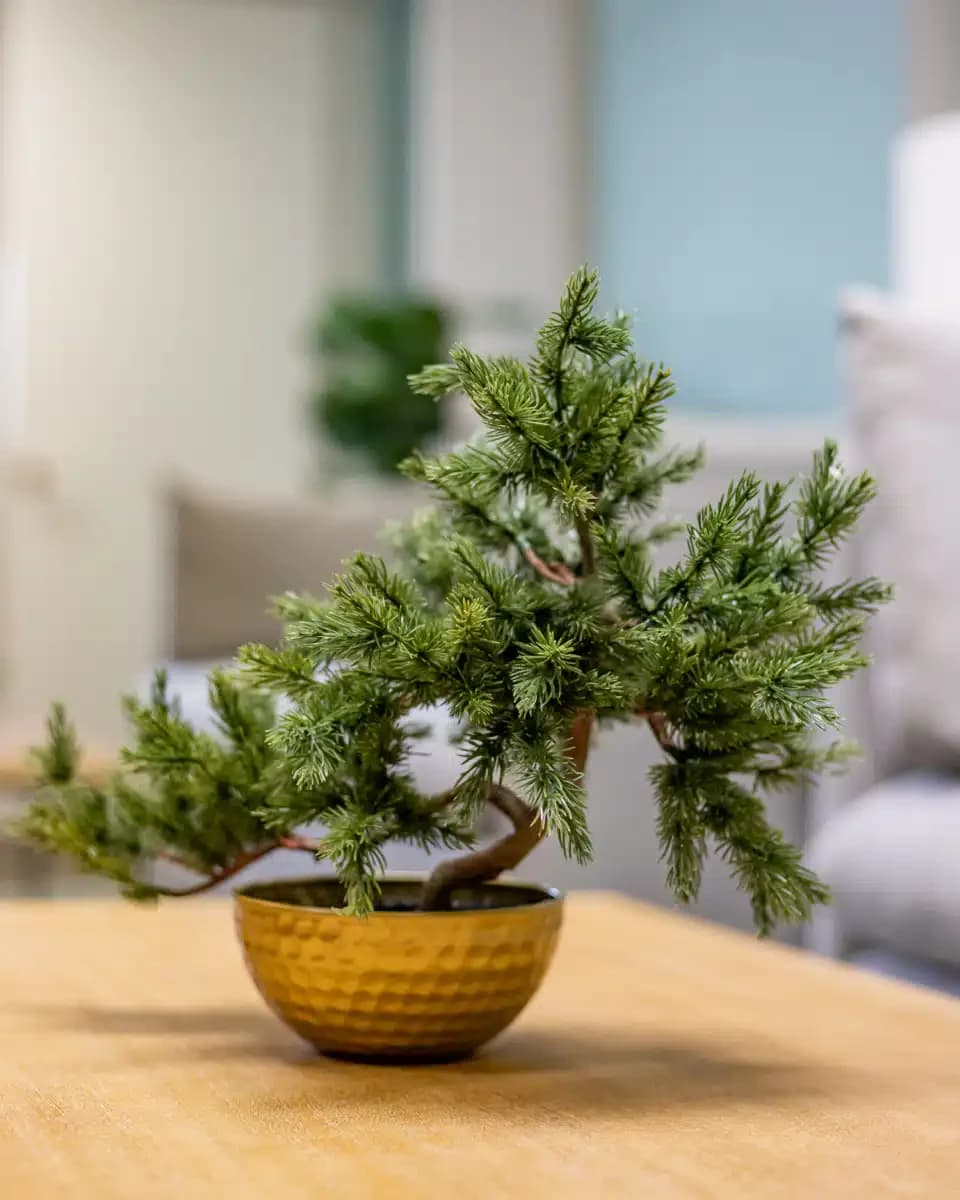 Guest House Ocala - Thumbnail 9