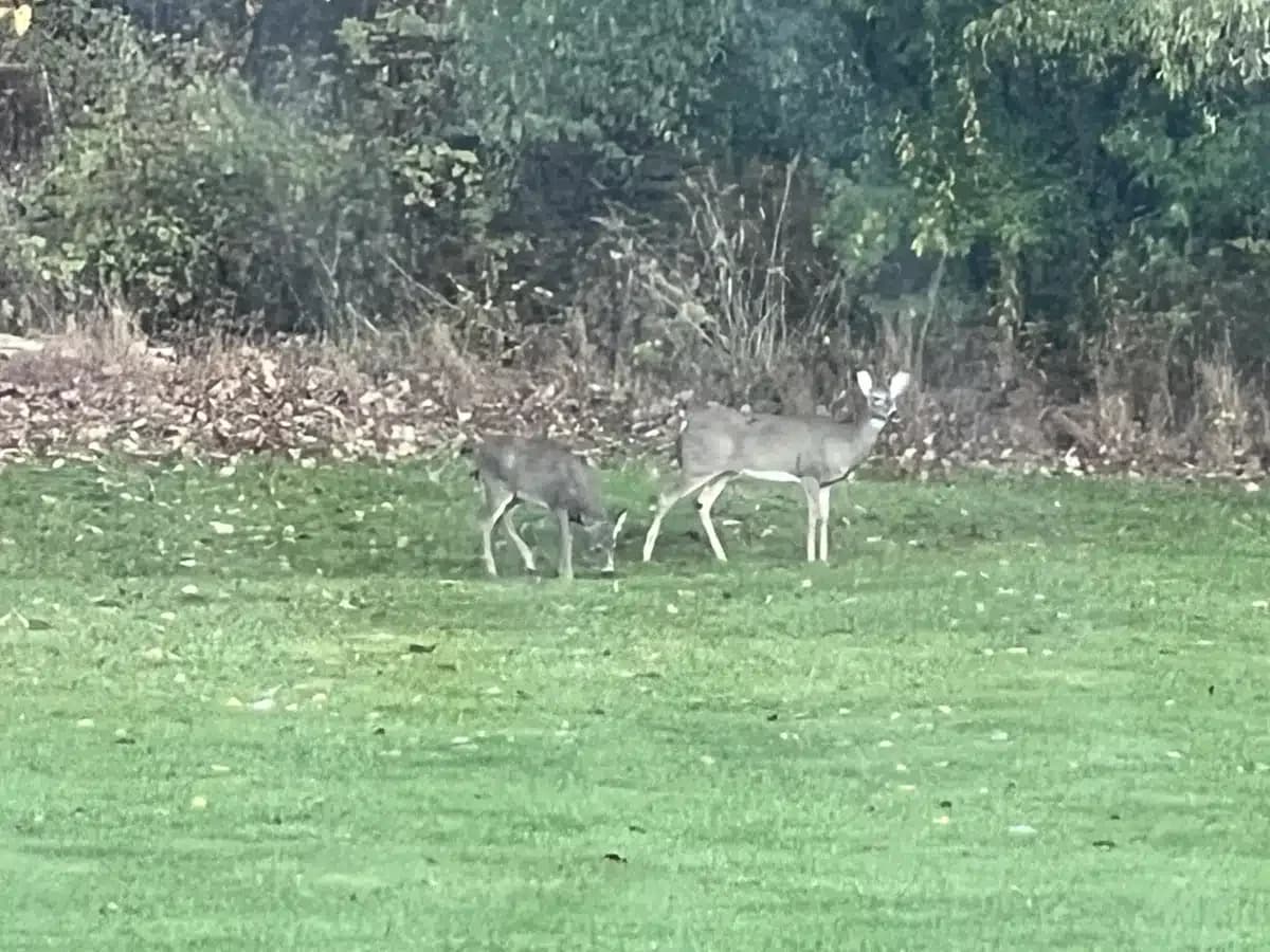 Haley House - Thumbnail 7