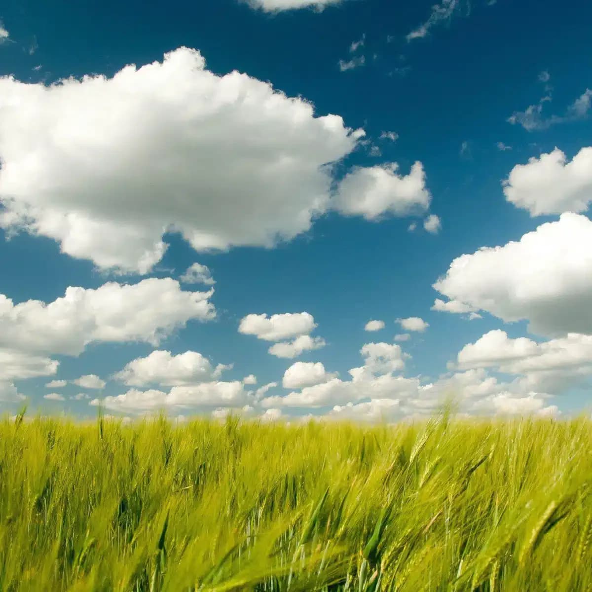 Hands Up Counseling LLC - Thumbnail 3