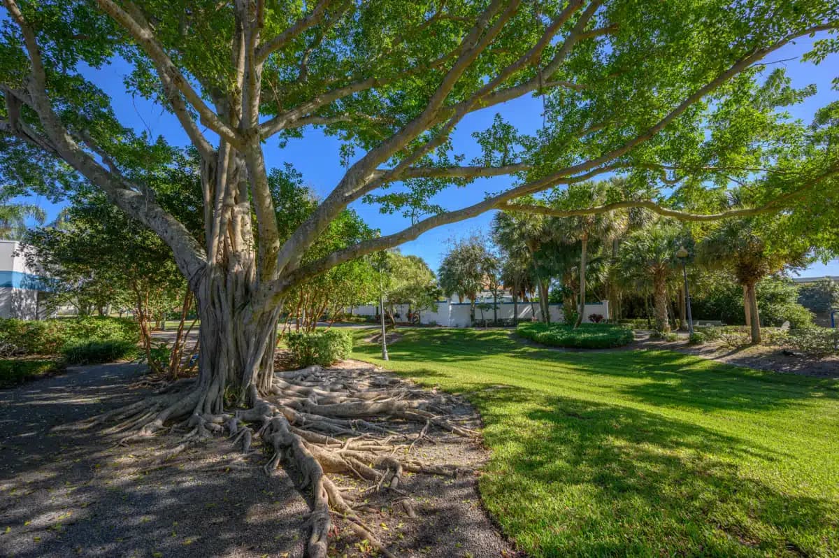 Hanley Center Counseling - Thumbnail 6