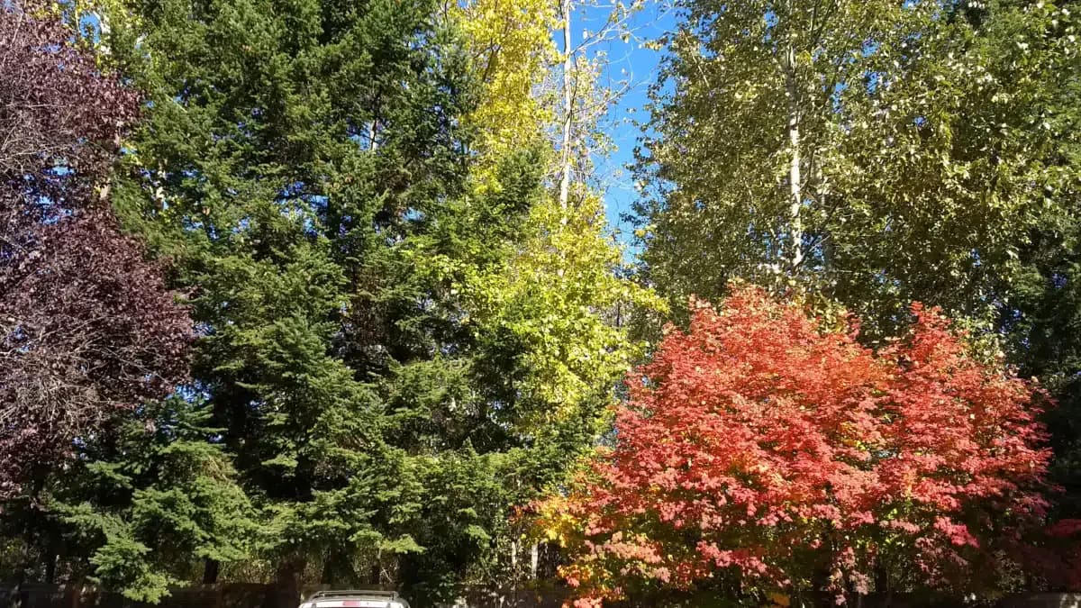 Harvest Home - Thumbnail 3