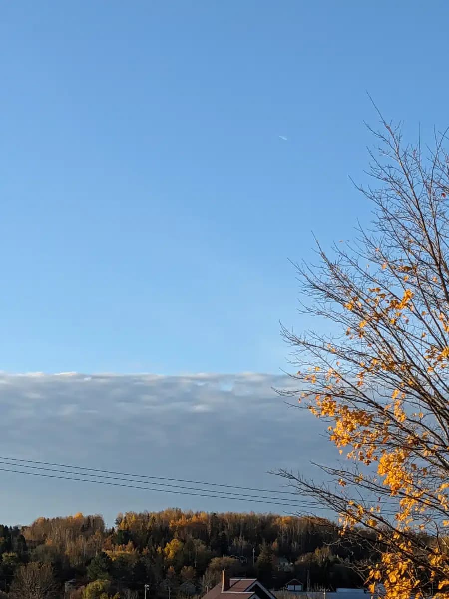 Healing Hearts LLC - Thumbnail 10