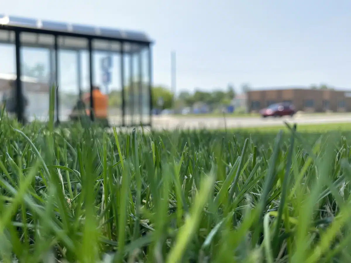 HealthWest - Thumbnail 8