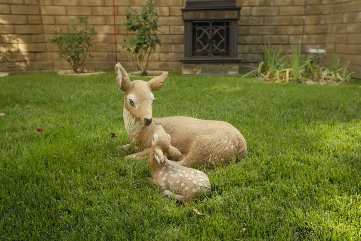 Healthy Living Residential Program - Thumbnail 9