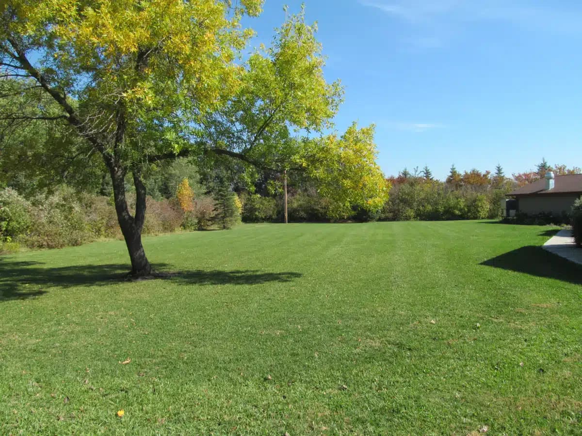 Heartview Foundation - Thumbnail 8